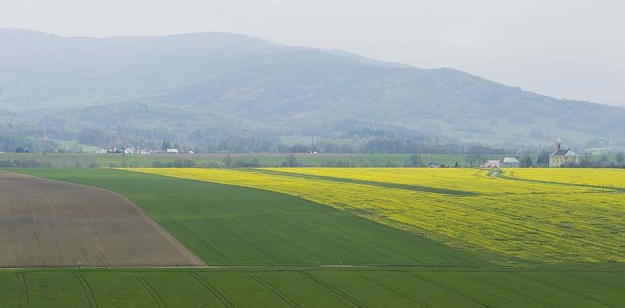 muntanyes, muntanya, paisatge, matriu, camps, verd, medi ambient, camp, agricultura, terra, bellesa a la natura, escenics - natura, escena tranquil·la, escena rural, tranquil·litat, planta, naturalesa, color verd, dia, transport, granja, idíl·lic, cel, herba, manera de transport, cap gent, a l'aire lliure, 4K