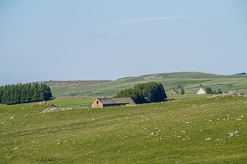 pre, albero, paesaggio, erba, pianta, colore verde, cielo, natura, bellezza nella natura, ambiente, scenics - natura, terra, la tranquillità, campo, giorno, architettura, scena tranquilla, struttura costruita, scena non urbana, montagna, costruzione, cielo sereno, all'aperto, nessuno, 1080P, CC0, dominio pubblico, privo di copyright