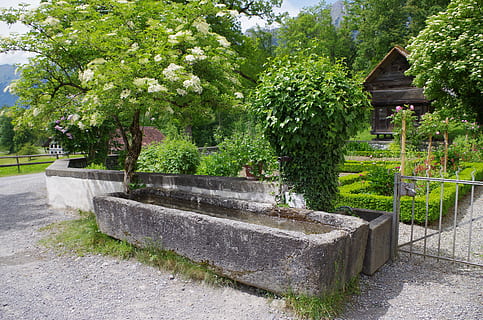 Brunnen, Pierre, Holunder, ballenberg, Pflanze, Baum, grüne Farbe, die Architektur, gebaute Struktur, Natur, Wachstum, Tag, keine Leute, Park, draußen, Fußweg, Schönheit in der Natur, Gras, Treppe, Park - menschgemachter Raum, Ruhe, Sonnenlicht, Gebäudehülle, solide, 4K, CC0, gemeinfrei, lizenzfrei