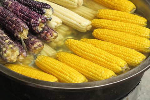 corn, corn cobs, food and drink, food, healthy eating, vegetable, yellow, wellbeing, freshness, sweetcorn, corn on the cob, close-up, day, no people, outdoors, barbecue, preparation, still life, corn - crop, nature, large group of objects, 5K, CC0, public domain, royalty free