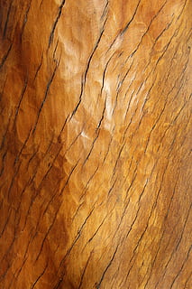 Hintergrund, Textilien, Muster, Textur, alt, Hintergründe, Vollbild, texturiert, Holz - Material, braun, keine Leute, Nahansicht, Holz, Rau, geknackt, Baum, Natur, natürliches Muster, extreme Nahaufnahme, Tag, draußen, Baumstamm, Holzmaserung, Pflanze, Borke, Struktureffekt, Baumring, erodiert, 5K, CC0, gemeinfrei, lizenzfrei