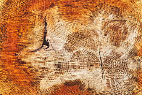 albero, sezione, struttura, anelli, natura, sfondo, naturale, Marrone, piace, sfondi, fotogramma intero, strutturato, legno - materiale, modello, avvicinamento, nessuno, legna, modello naturale, giorno, screpolato, in casa, ruvido, tronco d'albero, vista dall'alto, legname, abbaiare, venatura del legno, anello degli alberi, 4K, CC0, dominio pubblico, privo di copyright