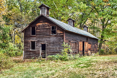 hambar, vechi, rustic, abandonat, descompunere, arhitectură, construită, plantă, exteriorul clădirii, copac, casă, lemn - material, nici o persoana, clădire, zi, natură, pădure, teren, iarbă, creştere, Culoarea verde, peisaj, scenă non-urbană, în aer liber, lemn, căsuță, 4K, CC0, domeniu public, fără drepturi de autor