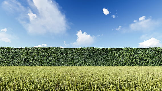 hedge, obstacle, challenge, problem, solution, question, behind, hidden, agenda, concept, surprise, new, unknown, grass, sky, clouds, outdoors, goal, jump, fence, success, fighting, road, symbol, background, clean, green, blue, perfect, landscape, cloud - sky, field, land, agriculture, plant, green color, rural scene, growth, crop, environment, beauty in nature, no people, nature, scenics - nature, tranquil scene, farm, springtime, gardening, 4K, CC0, public domain, royalty free