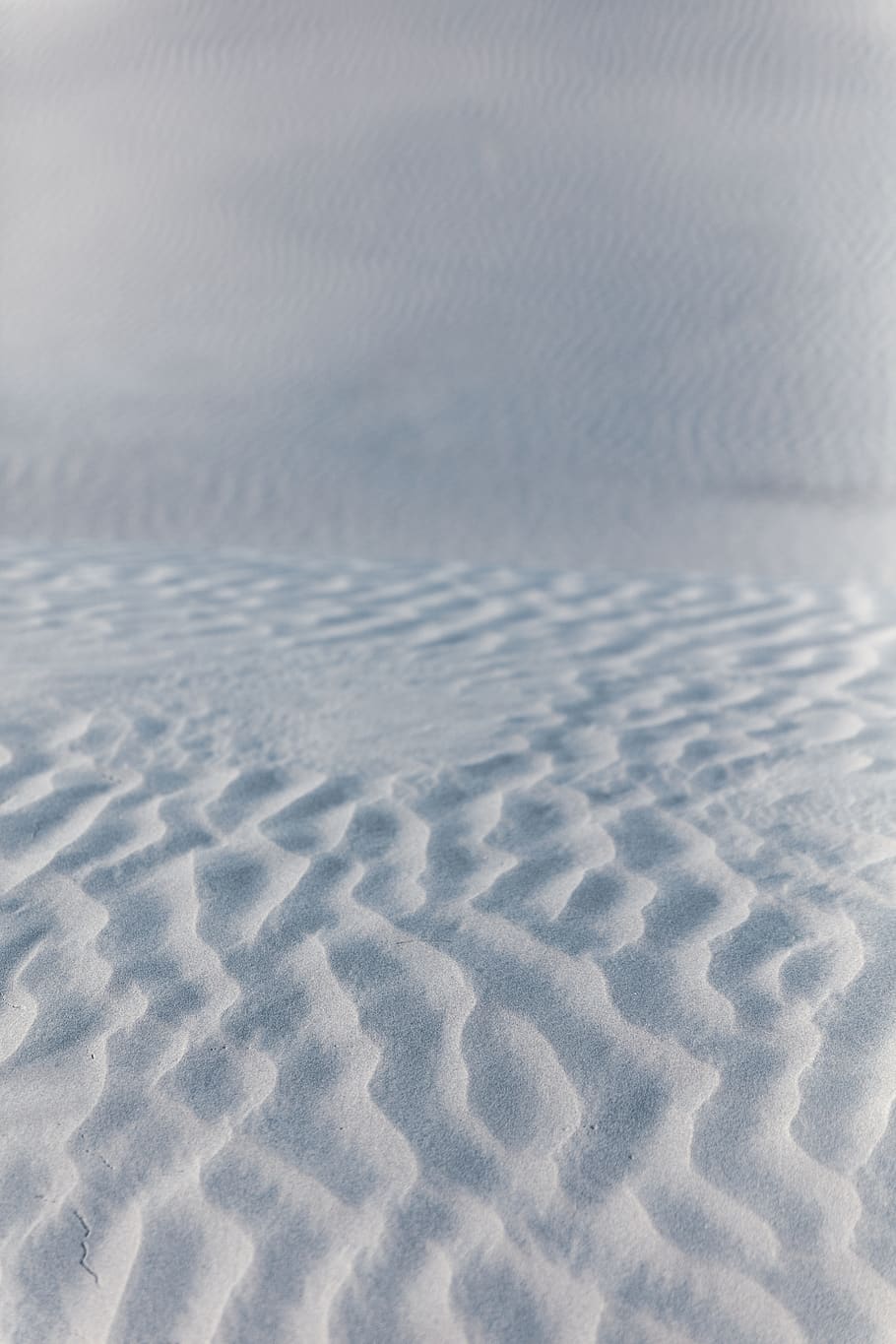 hvidt sand, jord, natur, udendørs, sand, tæppe, ørken, fotografering, Foto, vand, krusning, sne, fugl, dyr, ørn, sport, bold, golf, golfbold, ingen mennesker, mønster, ro, dag, skønhed i naturen, himmel, scenics - natur, hvid farve, rolig scene, Klit, landskab, strand, baggrunde, tæt på, sollys, klima, tørt klima, 8K