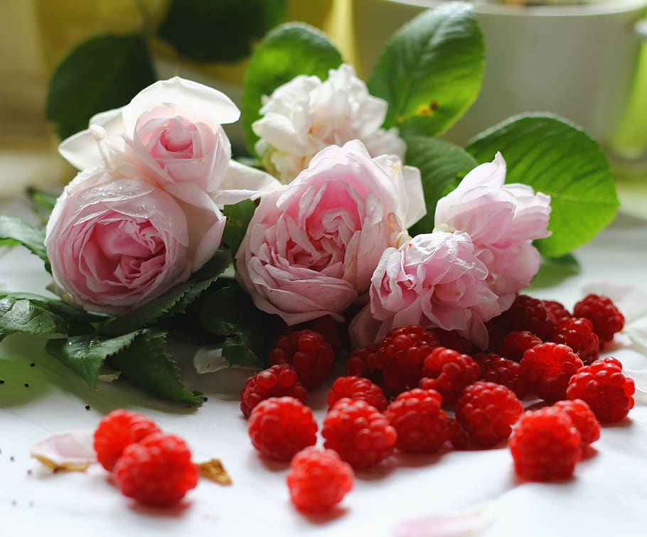 roses, gerds, fulles, frescor, flor, planta amb flors, planta, bellesa a la natura, primer pla, menjar i beguda, rosa, flor de roses, menjar, color rosa, a l'interior, pètal, cap gent, naturalesa, centrar-se en primer pla, natura morta, vulnerabilitat, fragilitat, vermell, cap de flor, temptació, arranjament floral, bouquet, 2K