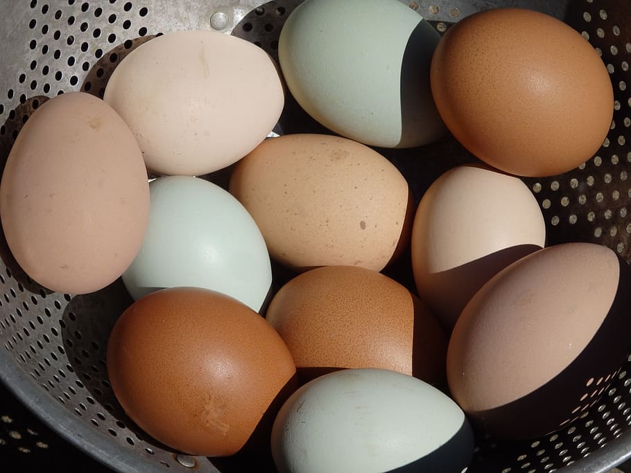 ou, Pasqua, rovell d'ou, colesterol, closca d'ou, pollastre, esmorzar, saludable, menjar i beguda, menjar, alimentació saludable, benestar, frescor, natura morta, a l'interior, primer pla, contenidor, aliments crus, cap gent, vista d’angle alt, fragilitat, marró, vulnerabilitat, gran grup d'objectes, ous d’animals, Color blanc, shell, 4K
