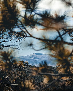 muntanya grisa, planta, arbre, abies, avet, conífera, làrix, pi, naturalesa, a l'aire lliure, Serra, muntanya, paisatge, picea, pic, tronc de l'arbre, altiplà, llum solar, temps, cel, escenics - natura, cap gent, bellesa a la natura, núvol - cel, tranquil·litat, temperatura de fred, hivern, escena tranquil·la, dia, neu, creixement, branca, escena no urbana, muntanya nevada, cim de muntanya, 2K, CC0, domini públic, lliure de regalies