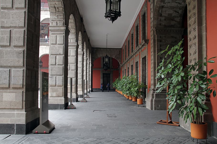 colonne, corridoio, architettura, modello, struttura costruita, costruzione, la strada davanti, direzione, esterno dell'edificio, colonna architettonica, città, giorno, sentiero, pianta in vaso, all'aperto, portico, nessuno, vuoto, attrezzatura per l'illuminazione, quartiere residenziale, strada, pianta, vicolo, colonnato, lungo, 5K