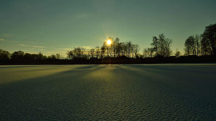 zimní, krajina, kloub, nebe, strom, rostlina, klid, klidné scény, nikdo, scenics - příroda, Příroda, krása v přírodě, západ slunce, životní prostředí, přistát, idylický, slunce, venku, silueta, slunečního světla, pole, 5K