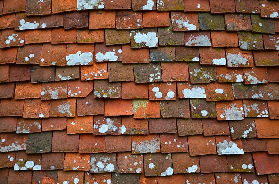 muur, tegels, oud, rood, patroon, steen, achtergrond, dak, achtergronden, geen mensen, muur - bouwfunctie, volledig kader, architectuur, ingebouwde structuur, dag, detailopname, stenen muur, getextureerde, bruin, dakpan, grote groep objecten, stack, buitenkant van het gebouw, buitenshuis, 4K