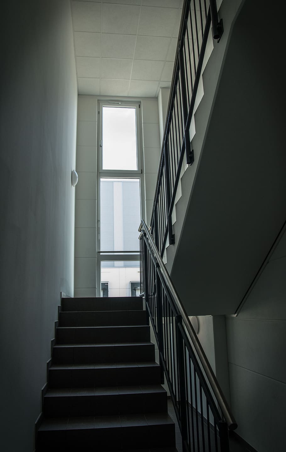 scala, ringhiera, architettura, le scale, gradualmente, emergenza, costruzione, interno, corrimano, interior design, moderno, finestra, prospettiva, gradini e scale, in casa, Inquadratura dal basso, struttura costruita, nessuno, giorno, direzione, caratteristica della parete, la strada davanti, assenza, formazione scolastica, luce del sole, vuoto, 4K