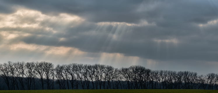 panoraama, pilvipeite, pilviä, pilvi - taivas, puu, kasvi, taivas, kauneus luonnossa, maisemat - luonto, tyyneys, ympäristö, ei ihmisiä, rauhallinen kohtaus, maa, luonto, metsä, maisema, myrsky, ei-kaupunkikuvia, päivä, pilvinen, ruoho, 1080P, CC0, public domain, rojaltivapaa