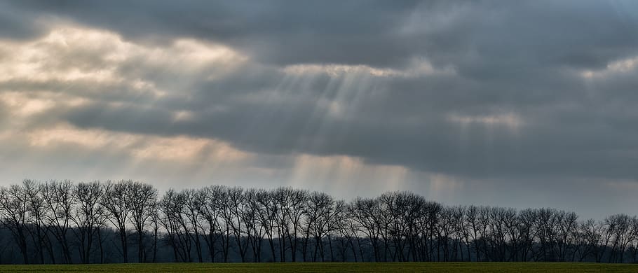 Panorama, Wolkendecke, Wolken, wolke - himmel, Baum, Pflanze, Himmel, Schönheit in der Natur, Szenen - Natur, Ruhe, Umgebung, keine Leute, ruhige Szene, Land, Natur, Wald, Landschaft, Sturm, Nicht-städtische Szene, Tag, bedeckt, Gras, 1080P