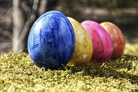 Ostereier, Ostern, bunt, Osterei, Ei, Dekoration, Frohe Ostern, farbig, Osterei malen, Farbe, Frühling, Ostertradition, gemalt, Moos, Brauch, Zoll, Osterhase, Malerei, Grün, Kunst, Natur, Nahansicht, Makro, Stillleben, Blau, Lebensmittel, keine Leute, Tag, Pflanze, Essen und Trinken, selektiver Fokus, Frische, gesundes Essen, Sonnenlicht, Feld, Fokus auf den Vordergrund, Feier, Land, lila, 4K, CC0, gemeinfrei, lizenzfrei