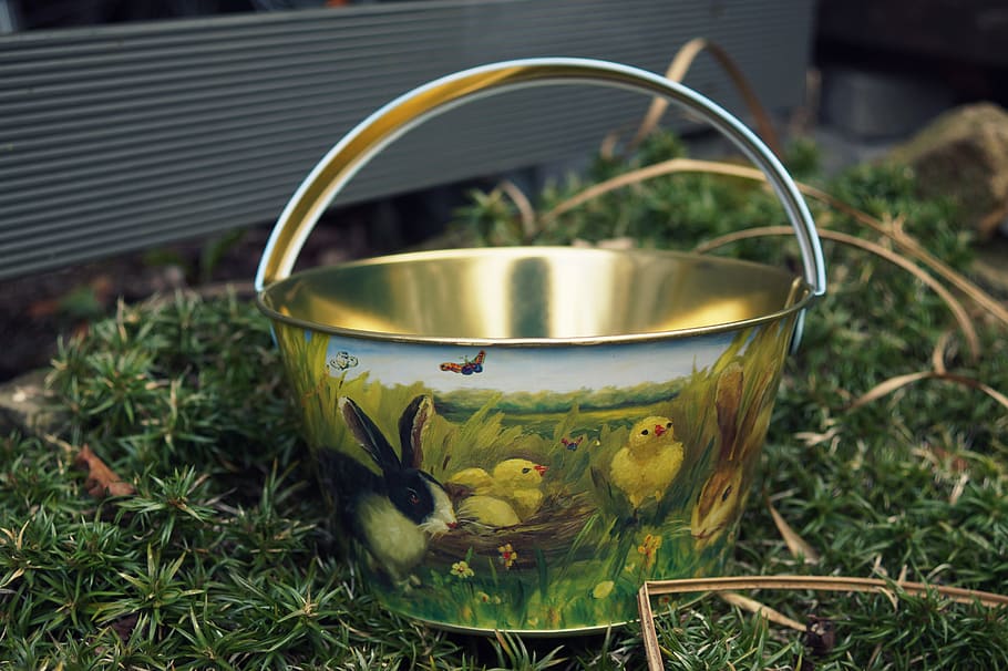 osterkorb, osterkörbchen, Ostern, Osterdekoration, Osterhase, Pflanze, grüne Farbe, Natur, Gras, keine Leute, Wachstum, Fokus auf den Vordergrund, Tag, Nahansicht, Container, draußen, Essen und Trinken, Metall, Blatt, Vorder- oder Hinterhof, Pflanzenteil, Feld, Haushaltsausstattung, Wasser, Land, Blumentopf, 5K