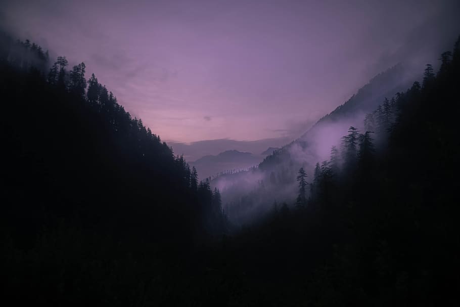 munte negru, abies, plantă, brad, copac, natură, în aer liber, Munte, de munte, peisaj, decor, vârf, conifer, pin, amurg, cer, zori de zi, apus de soare, cer roșu, pustie, ceaţă, frumusețe în natură, scenice - natura, o scenă liniștită, liniște, idilic, scenă non-urbană, nici o persoana, mediu inconjurator, siluetă, pădure, maiestuos, la distanta, apă, Violet, 5K