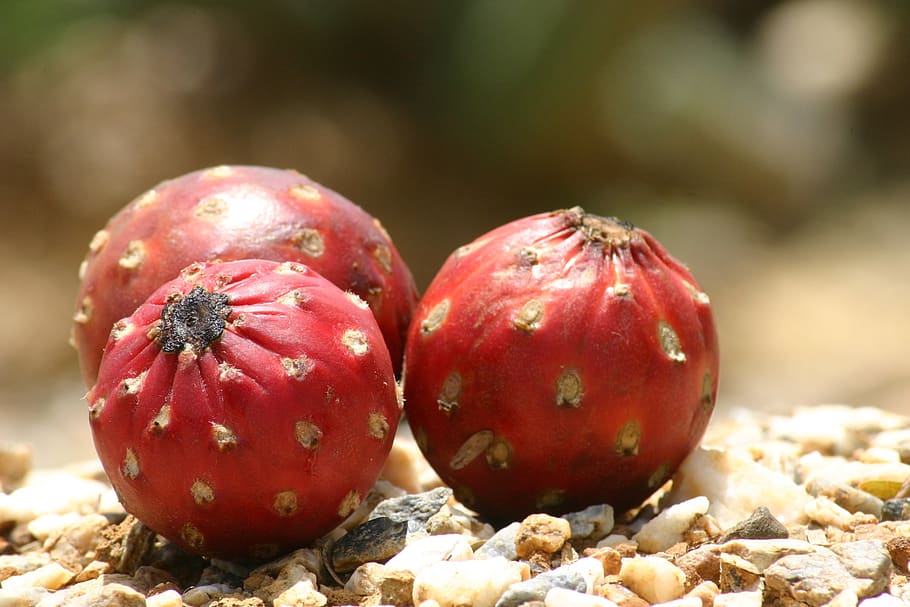 tre, frutta, fichi, cibo e bevande, cibo, mangiare sano, benessere, freschezza, concentrarsi sulle conoscenze acquisite, rosso, avvicinamento, giorno, nessuno, natura, mela - frutto, luce del sole, natura morta, all'aperto, Melograno, terra, dado - cibo, Noce, maturo, 2K