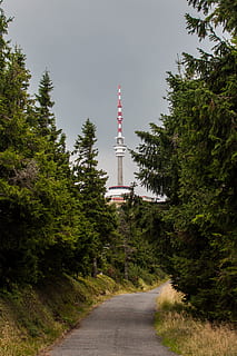nothing, empty, tree, plant, direction, tower, nature, architecture, sky, road, transportation, built structure, no people, the way forward, growth, travel, tall - high, green color, building exterior, day, outdoors, spire, global communications, 2K, CC0, public domain, royalty free