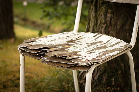 chair, session, sit, focus on foreground, wood - material, plant, day, no people, tree, close-up, nature, outdoors, wet, water, grass, rain, drop, wood, absence, growth, selective focus, 5K, CC0, public domain, royalty free