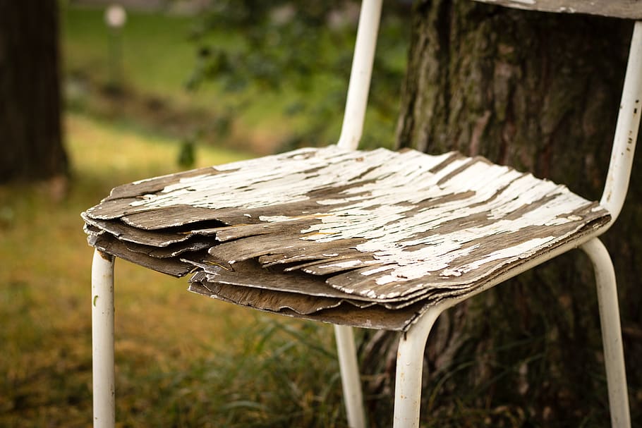 stoel, sessie, zitten, focus op de voorgrond, hout - materiaal, fabriek, dag, geen mensen, boom, detailopname, natuur, buitenshuis, nat, water, gras, regen, laten vallen, hout, afwezigheid, groei, selectieve aandacht, 5K