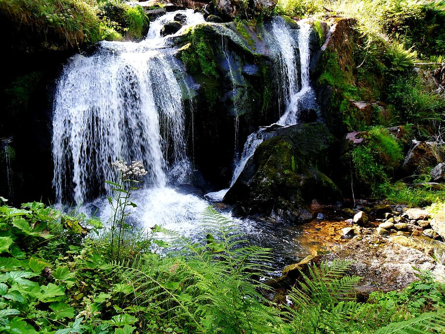 trier, cascada, estiu, secció, moviment, bellesa a la natura, arbre, aigua, planta, exposició llarga, bosc, aigua que flueix, moviment borrós, escenics - natura, rock, terra, sòlid, naturalesa, cap gent, rock - object, creixement, dia, que flueix, a l'aire lliure, poder a la natura, caient aigua, selva tropical, 4K