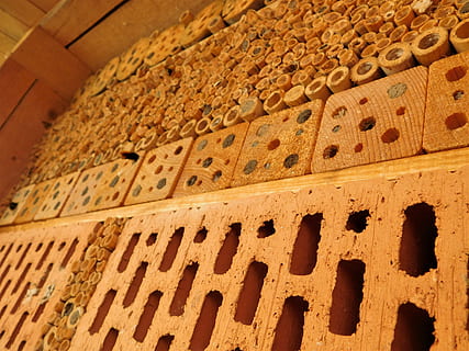 Hintergrund, Muster, Ornament, alt, Wand, Biene, Bienenhotel, einsame Biene, eigenbau, Hotel, Insekt, Natur, Frühling, Sommer-, Naturschutz, Holz, Box, Weinkiste, Blumen, Backstein, wunderschönen, , Entspannen Sie Sich, Garten, Honig, Imker, Mauerwerk, mach es selbst, Naturgarten, basteln, bauen, Bienenstock, Honigbienen, Fluginsekt, summen, Bienenzucht, fliegend, Honigproduktion, beschäftigte Biene, Feld voller Blumen, blühen, blütenmeer, blühender Zweig, frühlingsanfang, Frühlingserwachen, Bienen, Baum, Löwenzahn, Landschaft, Tier, Bienenwabe, Wespe, Hummel, Hornisse, Zimmermann Biene, Marienkäfer, Florfliege, drinnen, die Architektur, keine Leute, gebaute Struktur, Geschichte, die Vergangenheit, Flachwinkelansicht, uralt, Wandbau - Funktion, Kunst, Nahansicht, Gebäude, texturiert, Vollbild, Religion, in einer Reihe, Hintergründe, 4K, CC0, gemeinfrei, lizenzfrei