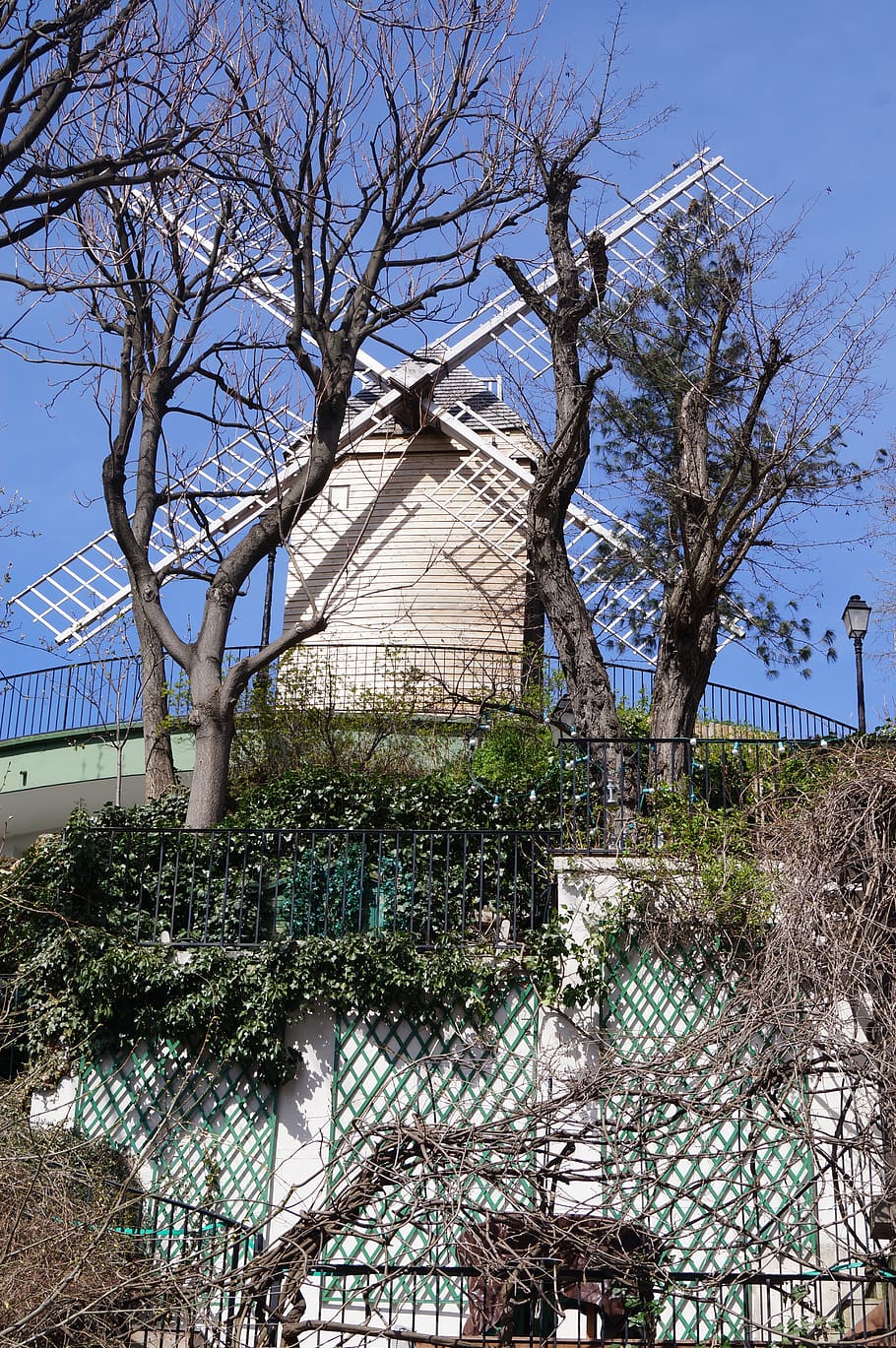 Mühle, Windmühle, Wind, Baum, gebaute Struktur, Pflanze, die Architektur, Gebäudehülle, Himmel, kahler Baum, Ast, Natur, keine Leute, Zaun, Gebäude, Grenze, Barriere, Tag, Haus, Flachwinkelansicht, Wachstum, draußen, Maschendrahtzaun, 4K