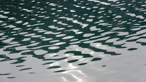 wave, lichtspiel, reflection, water, pattern, surface, abstract, ruffled, no people, high angle view, abundance, day, nature, indoors, close-up, large group of objects, full frame, white color, cold temperature, waterfront, group of animals, ice, animals in the wild, lake, 4K, CC0, public domain, royalty free