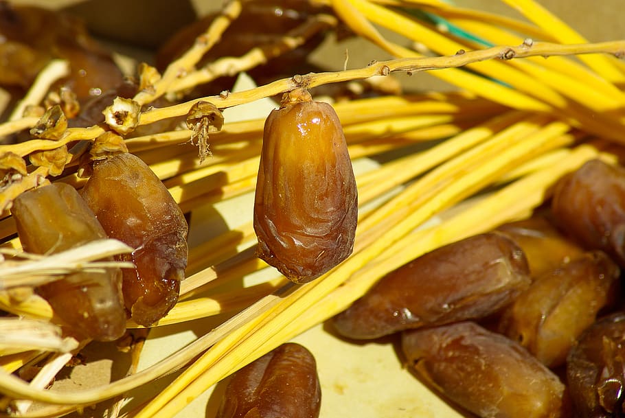 dates, Fruits secs, Palmera datilera, menjar i beguda, menjar, frescor, alimentació saludable, primer pla, benestar, cap gent, natura morta, fruita, a l'interior, tir de l'estudi, llest per menjar, groc, vista d’angle alt, marró, data, enfocament selectiu, vegetals, menjar asiàtic, venda al detall, berenar, menjar xinès, 4K