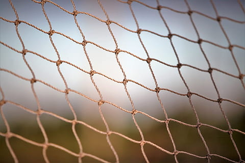 model, textură, abstract, web, sportiv, net - echipament sportiv, nici o persoana, a închide, gard, limite, plasă, natură, în aer liber, iarbă, fundaluri, culoare alba, selectiv, protecţie, zi, echipament sportiv, barieră, Securitate, Culoarea verde, 5K, CC0, domeniu public, fără drepturi de autor