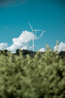 mulino a vento bianco, macchina, motore, il motore, turbina, turbina eolica, Repubblica Ceca, zlatá olešnice, cielo, natura, cielo blu, centrale elettrica, impianto eolico, widn, campo, cumulo, tempo metereologico, nube, all'aperto, avventura, attività ricreative, nuvola - cielo, combustibile e produzione di energia, ambiente, energia eolica, energia alternativa, conservazione dell'ambiente, energia rinnovabile, giorno, pianta, Inquadratura dal basso, blu, tecnologia, albero, nessuno, struttura costruita, terra, risorse sostenibili, stile di vita sostenibile, 5K, CC0, dominio pubblico, privo di copyright