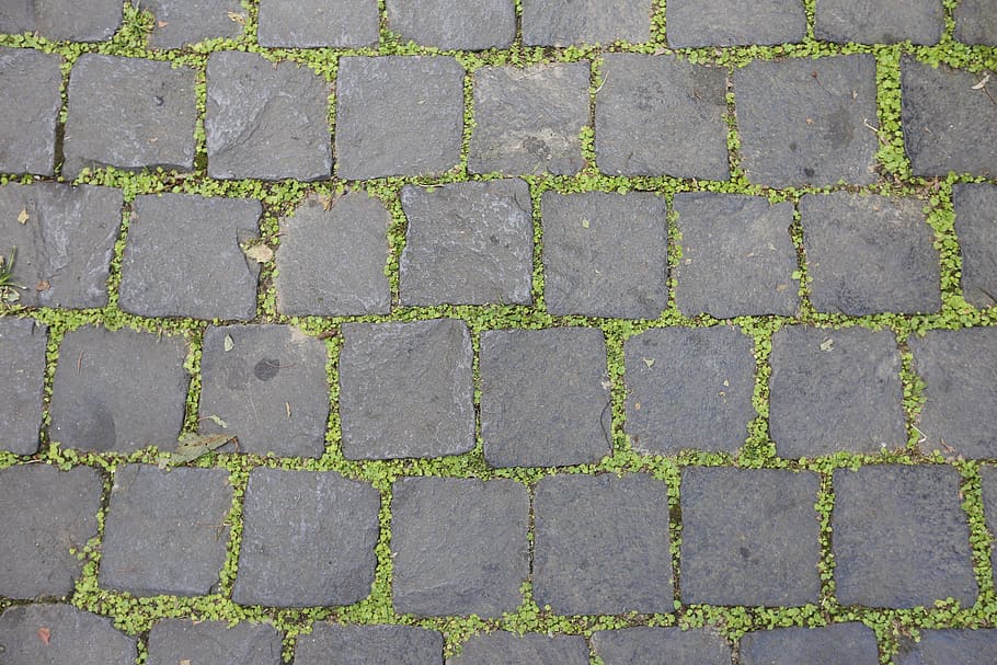 pavimento, blocchi, muschio, modello, sentiero, fotogramma intero, pavimentazione in pietra, giorno, sfondi, nessuno, pietra, vista dall'alto, ripetizione, direttamente sopra, strutturato, ciottolo, all'aperto, grigio, strada, giallo, design, natura, pavimentazione, pavimento piastrellato, 5K