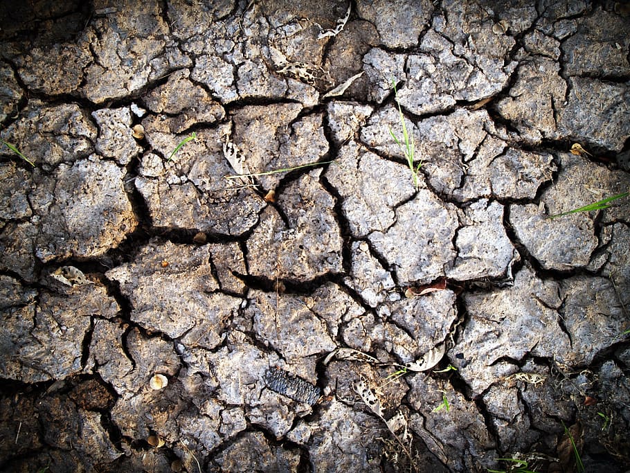 sòl, aspre, terra, dividir, crack, ecologia, estiu, trencat, textura, brutícia, terreny, argila, sequedat, fons, naturalesa, medi ambient, fre, sec, calenta, esquerdat, sequera, marc complet, clima, patró, cap gent, clima àrid, dia, camp, patró natural, primer pla, escenics - natura, estèril, fang, a l'aire lliure, paret de pedra, efecte texturat, 2K