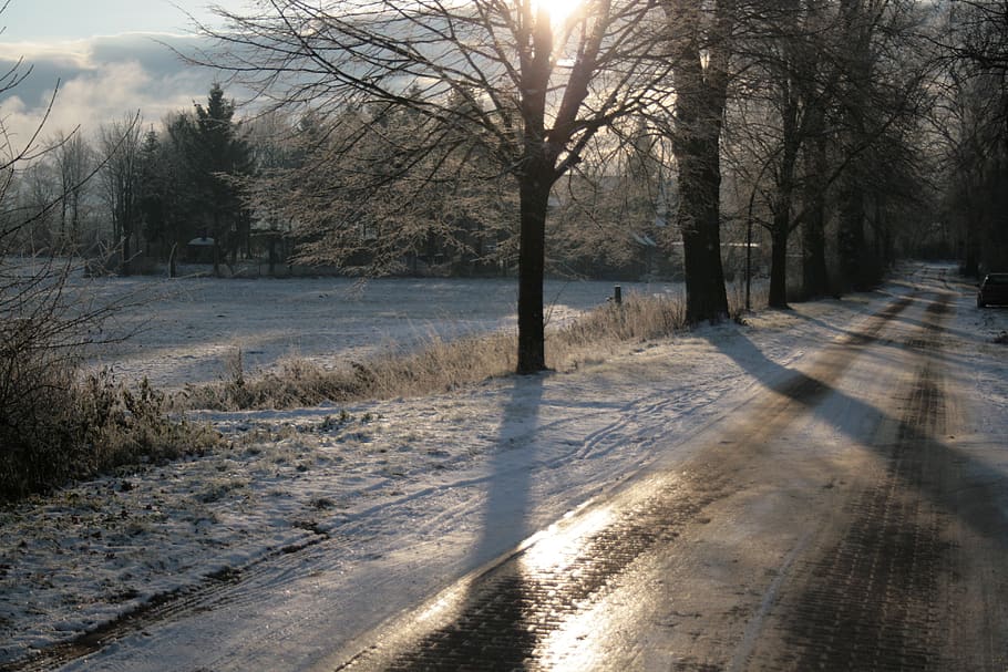 vinter-, träd, spegling, vintrig, snö, kall, vinterträd, landskap, vinterkylning, humör, himmel, snöig, frost, is, kall temperatur, växt, solljus, natur, nakna träd, inget folk, väg, Sol, riktning, skugga, vägen framåt, dag, lugn, landa, transport, utomhus, linsflare, 4K