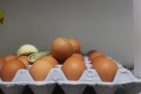 egg, mat, påske, shell, eggeskall, mat og Drikke, spise sunt, velvære, friskhet, egg kartong, innendørs, gruppe av objekter, på rad, ingen folk, middels gruppe objekter, brun, nærbilde, rå mat, selektiv fokusering, skjørhet, container, fokusere på forgrunnen, rekkefølge, kartong, 5K, CC0, offentlig domene, opphavsrett gratis