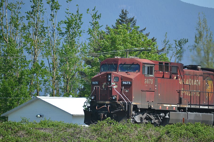 train, red, trees, railroad, plant, tree, train - vehicle, rail transportation, mode of transportation, transportation, nature, day, land vehicle, railroad track, track, public transportation, architecture, no people, built structure, travel, growth, outdoors, building exterior, 4K