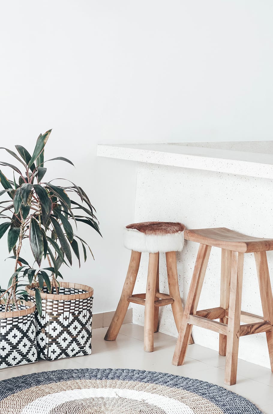 dos, marró, femta, planta, mobles, tamboret de bar, canggu, bali, catifa, fusta, interior, minimalista, vila, cadira, fusta contraxapada, taula, llit, cistella, coixí, armari, pissarra, seient, cap gent, funció de construcció de parets, material de fusta, a l'interior, planta en test, tamboret, interior de casa, dia, sòls, naturalesa, creixement, full, absència, Color blanc, arquitectura, planta d'interior, 5K