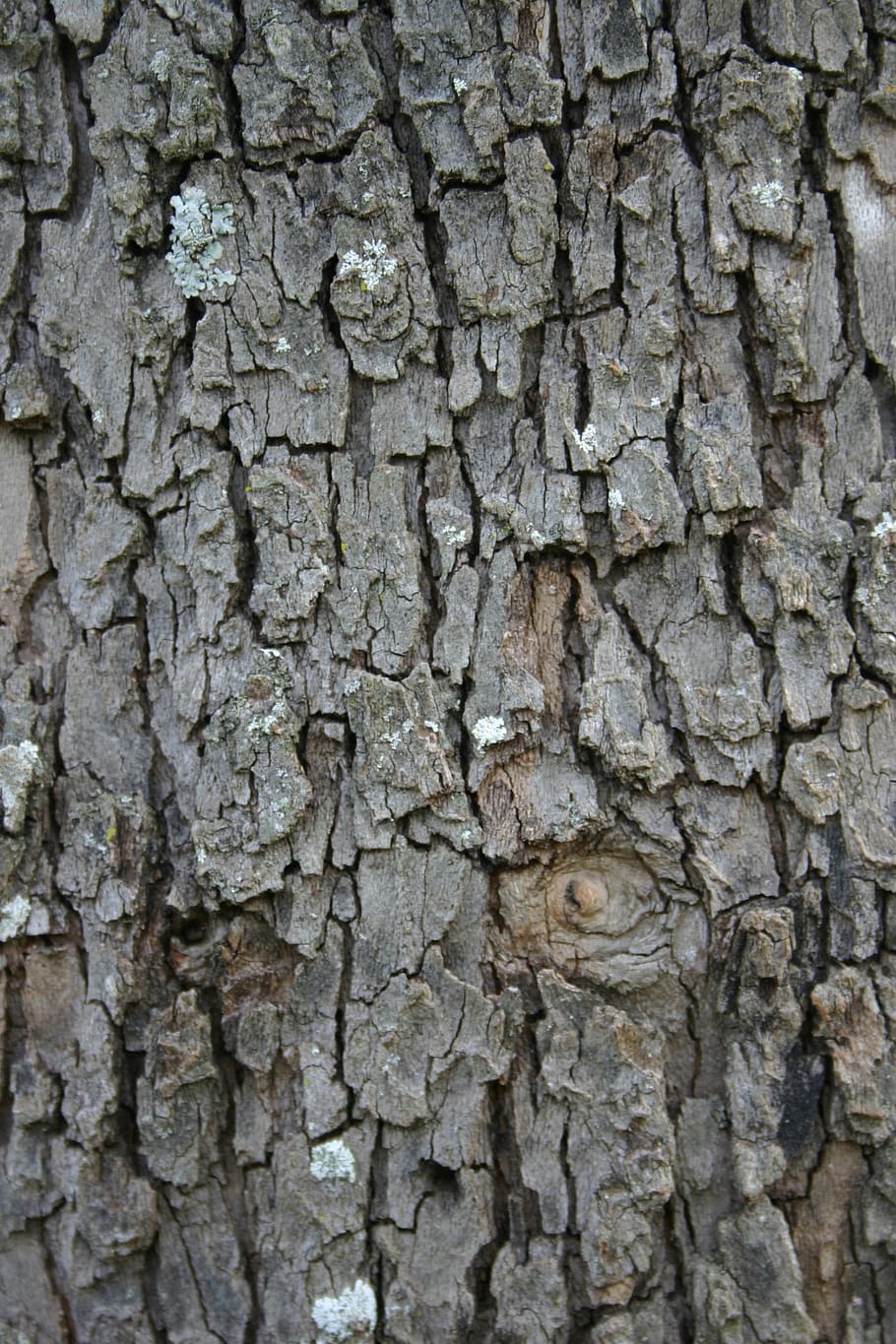 Borke, Rau, Textur, Desktop, Kofferraum, Muster, Erdoberfläche, alt, Natur, Umgebung, Wald, draussen, Oberfläche, natürlich, Erde, Baum, Holz, Wachstum, Pflanze, hölzern, Ökologie, Hintergründe, Vollbild, texturiert, Baumstamm, Nahansicht, keine Leute, Pflanzenrinde, Tag, draußen, gebaute Struktur, verwittert, die Architektur, Wandbau - Funktion, natürliches Muster, Steinwand, Struktureffekt, geschichtet, ruiniert, 2K