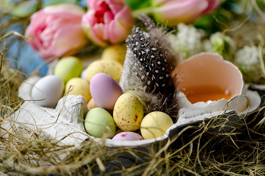 Feliç Pasqua, Pasqua, ous de Pasqua, ou de Pasqua, ou, posar ous, ous de xocolata, ou colorit, menjar, menjar i beguda, cap gent, celebració, enfocament selectiu, frescor, primer pla, festa, planta, animal, multicolor, vacances - esdeveniment, variació, elecció, naturalesa, primavera, 5K