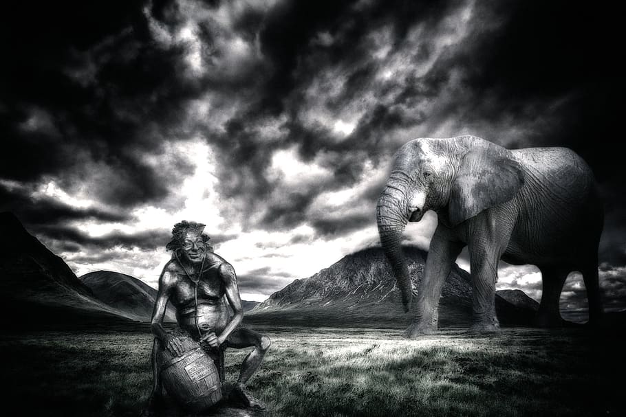 elefant, bacchus, mamífer, núvol - cel, fauna animal, cel, vertebrats, naturalesa, dia, gent, grup d’animals, representació, animals a la natura, art i artesania, terra, a l'aire lliure, herbívors, compost digital, 2K