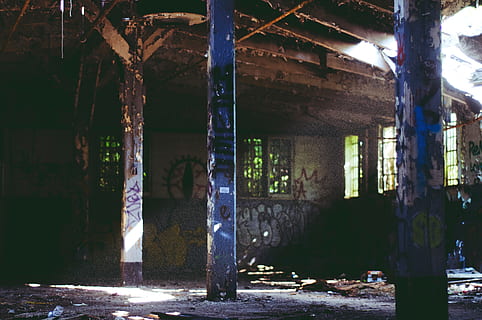 vechi, casă, post, tavan, arhitectură, construită, coloană arhitecturală, clădire, abandonat, zi, în interior, nici o persoana, învechit, dărâma, fereastră, erodate, natură, lumina soarelui, copac, deteriorat, camera de zi, deteriorare, ruinat, 4K, CC0, domeniu public, fără drepturi de autor