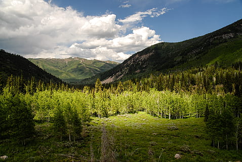 uinta, Utah, Berge, Pflanze, Berg, Schönheit in der Natur, Baum, Szenen - Natur, grüne Farbe, ruhige Szene, Himmel, wolke - himmel, Ruhe, Umgebung, Land, Wachstum, Landschaft, keine Leute, Natur, Wald, Nicht-städtische Szene, Tag, idyllisch, draußen, Kiefer, Nadelbaum, Kiefernwald, 4K, CC0, gemeinfrei, lizenzfrei