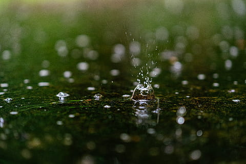 klart vannfall, dråpe, anlegg, gress, bilde, fotografering, mose, blad, plen, grønn, spindelvev, sollys, boble, mat, sitrusfrukt, frukt, alger, sprinkleranlegg, maskin, produsere, grapefrukt, vann, selektiv fokusering, miste, nærbilde, natur, bevegelse, sprut, våt, ingen folk, utendørs, renhet, friskhet, dag, regn, faller, skjønnhet i naturen, refleksjon, sprutende dråpe, konsentriske, regndråpe, overflatenivå, dugg, høyhastighets fotografering, 8K, CC0, offentlig domene, opphavsrett gratis