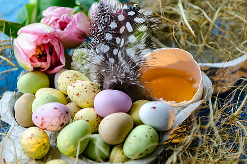 Feliç Pasqua, Pasqua, ous de Pasqua, ou de Pasqua, ou, posar ous, ous de xocolata, ou colorit, planta, menjar, naturalesa, celebració, cap gent, niu d’animals, festa, menjar i beguda, primer pla, ocell, temes d'animals, dia, animal, planta amb flors, flor, enfocament selectiu, a l'aire lliure, 5K, CC0, domini públic, lliure de regalies