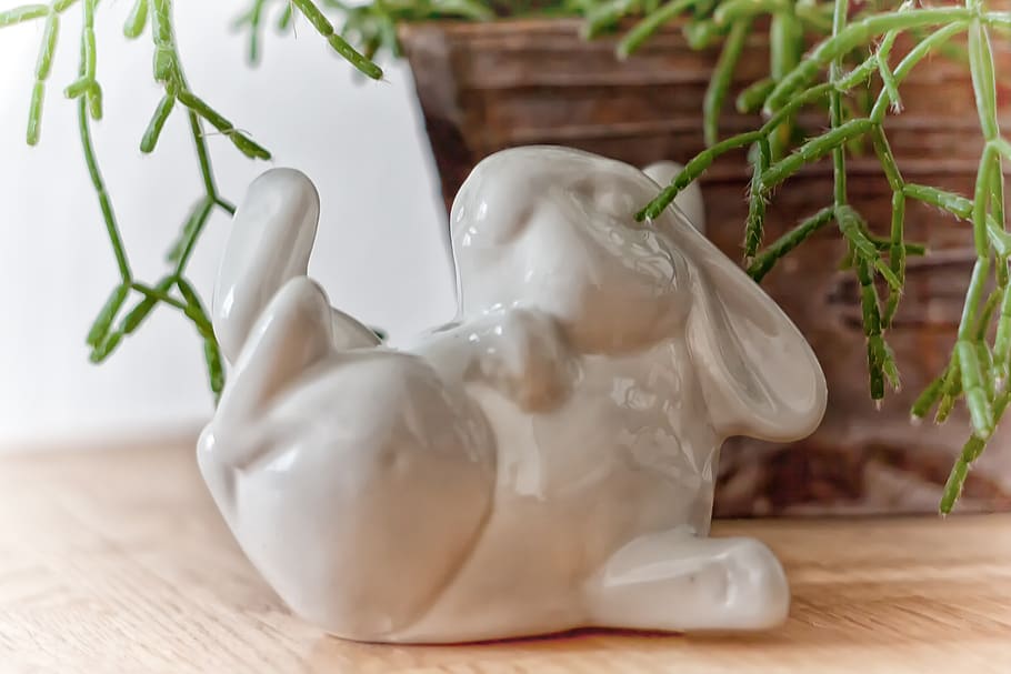 llebre, Pasqua, figura, primavera, conill de Pasqua, llarga orellada, conill, diumenge de Pasqua, mascota, Color blanc, taula, cap gent, primer pla, a l'interior, natura morta, representació, planta, centrar-se en primer pla, naturalesa, full, material de fusta, menjar, part de la planta, menjar i beguda, frescor, ceràmica, representació humana, herba, 5K
