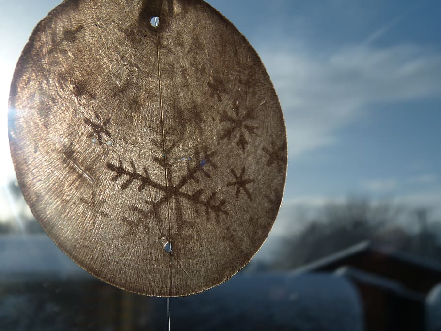 naturaleza, fondo, invierno, nieve, centrarse en primer plano, de cerca, árbol, día, cielo, forma, nadie, forma geometrica, circulo, al aire libre, material de madera, nube - cielo, planta, tronco de arbol, el maletero, texturizado, diseño, ladrar, Arte y artesanía, 4K