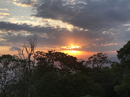 solnedgang, Sky, Eventide, himmel, landskab, sol, træ, plante, skønhed i naturen, sky - himmel, scenics - natur, ro, rolig scene, silhuet, orange farve, vækst, natur, ingen mennesker, idyllisk, ikke-urbane scene, udendørs, sollys, jord, 4K, CC0, offentligt domæne, royaltyfrie
