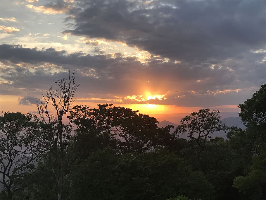 solnedgang, Sky, Eventide, himmel, landskab, sol, træ, plante, skønhed i naturen, sky - himmel, scenics - natur, ro, rolig scene, silhuet, orange farve, vækst, natur, ingen mennesker, idyllisk, ikke-urbane scene, udendørs, sollys, jord, 4K