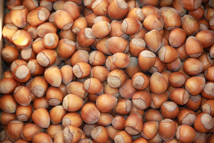 Haselnüsse, Haselnuss, Nuss, Nüsse, Herbst, Muscheln, Früchte, Lebensmittel, Hintergrund, Essen und Trinken, Hintergründe, Vollbild, Frische, Fülle, große gruppe von gegenständen, gesundes Essen, Wohlbefinden, keine Leute, Stillleben, Nuss - Essen, braun, High Angle View, zu verkaufen, Nahansicht, Verkauf, Wiederholung, 4K